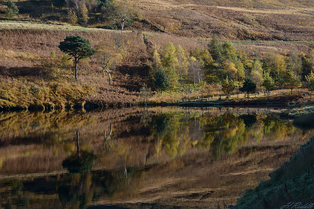 Another Dove Stone Autumn