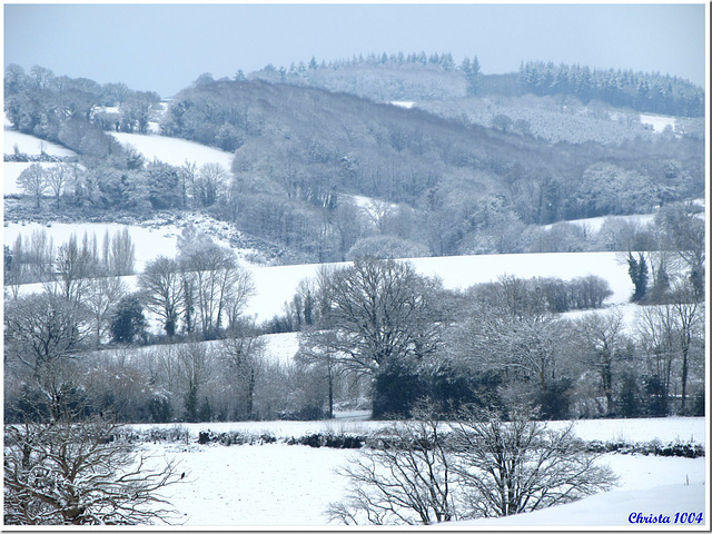 Countryside in winter clothes