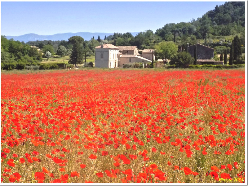 Sur les traces de Monet