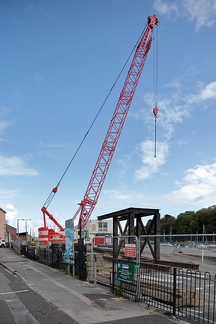 EOS 6D Peter Harriman 14 09 21 04831 Crane dpp