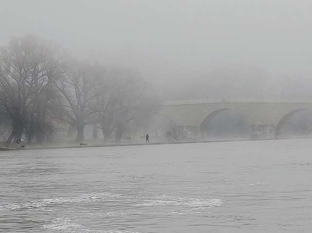 Danube Fog