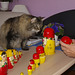 Milly and the Russian dolls, 2