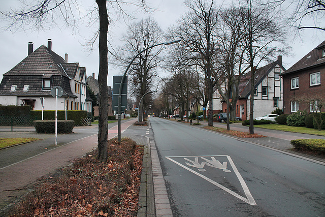 Brassertstraße (Marl-Brassert) / 24.12.2016