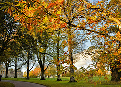 Stourhead Autumn.