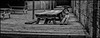 BENCHES