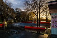 Liquid sunshine Liquid sunshine