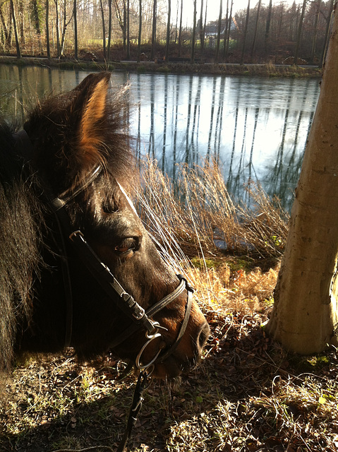 Froid mais soleil ............