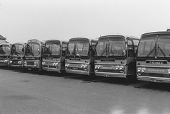 Morley's Grey line-up at West Row (5) - Sun 15 Sep 1985