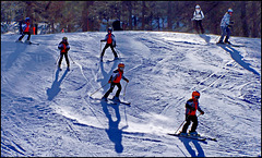 Sauze d'Oulx : i cuccioli della scuola di sci nel 2009 - forse alcuni di loro oggi sono diventati campioni da Coppa del mondo !
