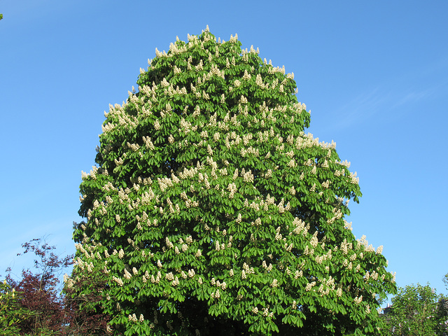 Blickrichtung Westen