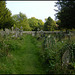 Magdalen boundary wall