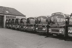 Morley's Grey line-up at West Row (4) - Sun 15 Sep 1985