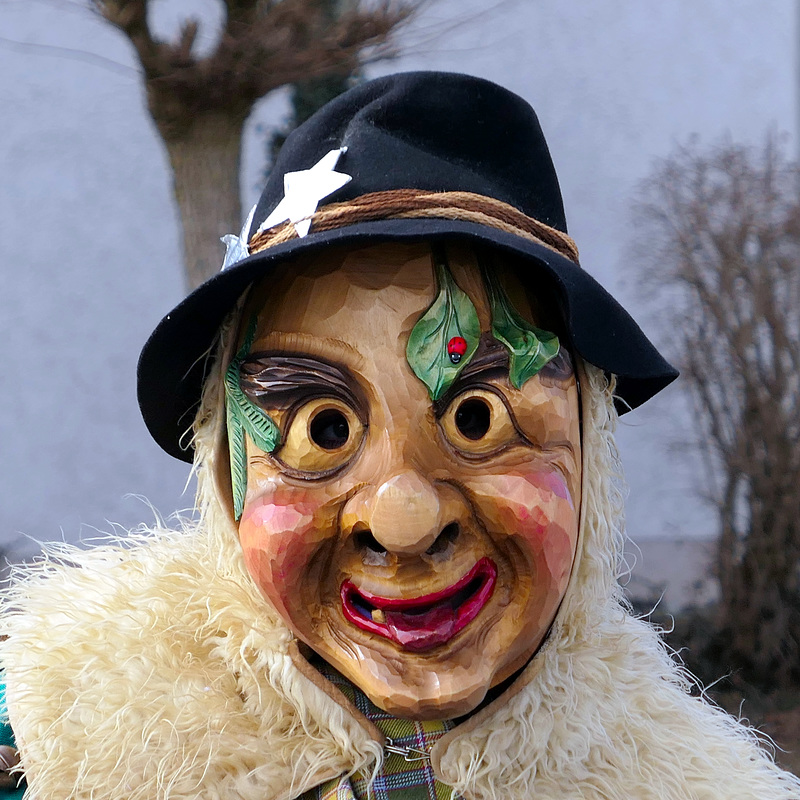 Altastadtr Faschingsomzug 2019
