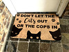 Cats n Cops 0733