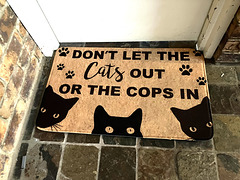 Cats n Cops 0733