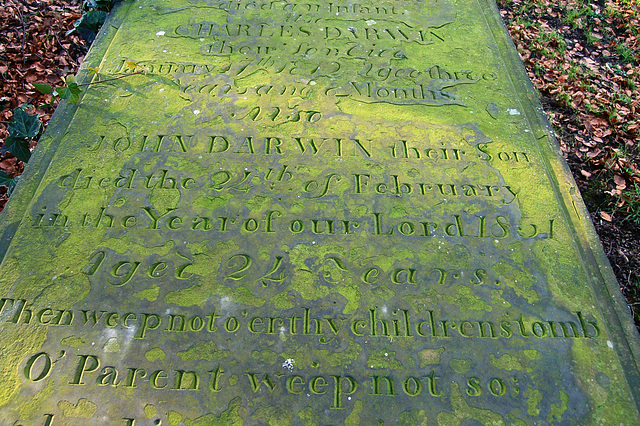 Memorial to Charles and John Darwin, Wentworth Old Church, South Yorkshire