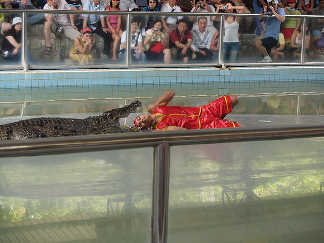 Patthaya, Crocodile Show