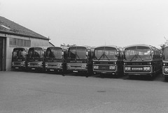 Morley's Grey line-up at West Row (3) - Sun 15 Sep 1985