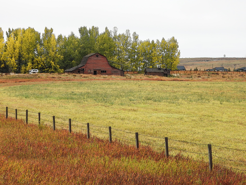 Old barn in early fall