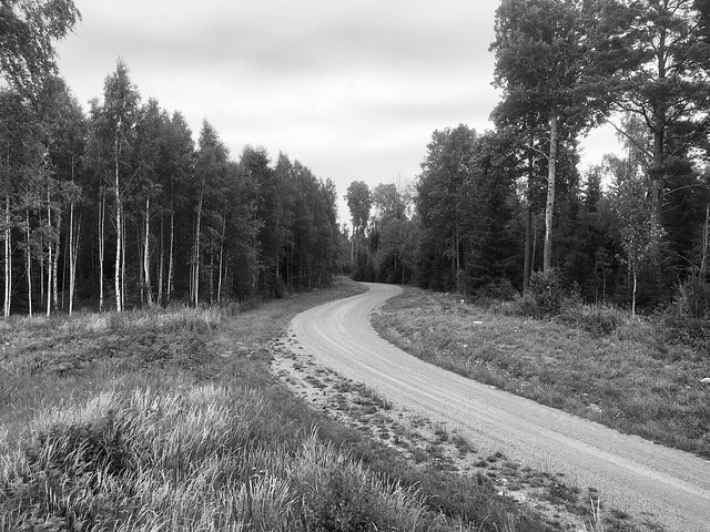 -waldweg 00395 F