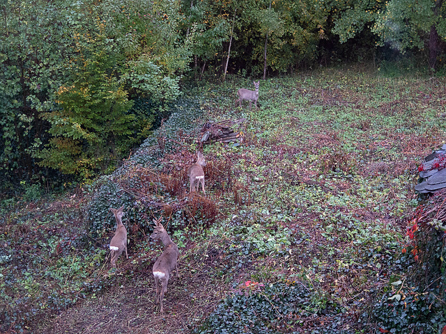 Blick aus unserem Fenster