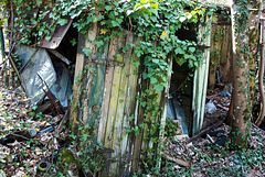 Pour loyer impayé de mon cabanon , j'ai expulsé manu militari une famille de miséreux dans la dèche et malade . C'est inhumain de subir une dette , faut m'comprendre !