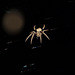 SpiderMoon1114 02
