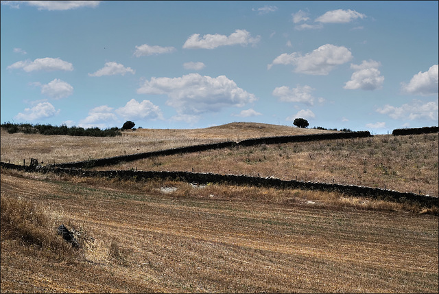 S. Miguel do Pinheiro, Thirsty Land Poetry