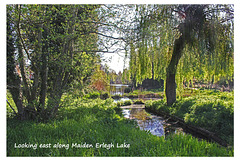 Looking east - Maiden Erlegh Lake - Reading - 22.4.2015