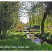 Looking east - Maiden Erlegh Lake - Reading - 22.4.2015