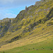 Iceland, hillside with cattle