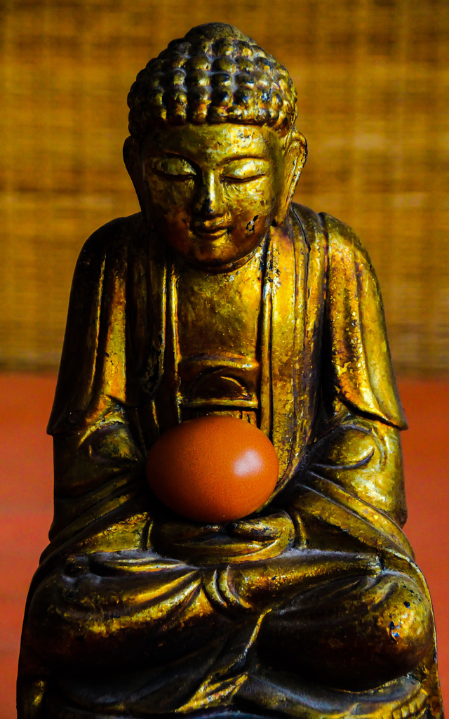 The 50-Images-Project ( 16/50 ): The Present of Buddha