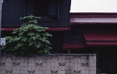 House with russet roof