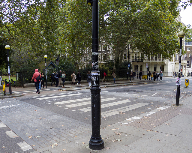 zebra crossing