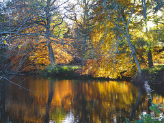 The Lake on the Altyre Estate