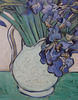 Detail of Irises by Van Gogh in the Metropolitan Museum of Art, May 2011