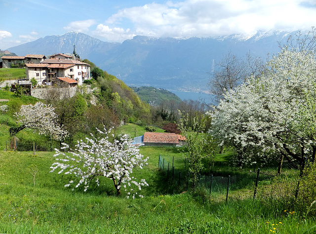 Primavera am Lago di Garda. ©UdoSm