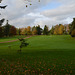 Bovey Castle, Golf Fields