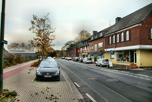 Bendschenweg (Neukirchen-Vluyn) / 9.11.2018