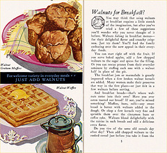 Around The Kitchen Clock With Walnuts (2), c1930