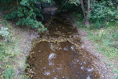 Die Sieber führt kaum noch Wasser