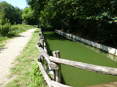 Green water..