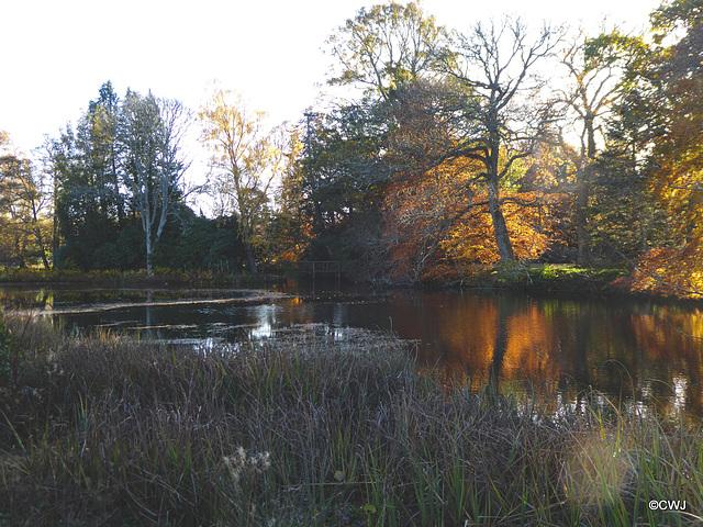 The Lake on the Altyre Estate