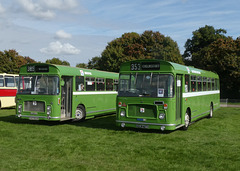 On display at Showbus 50 - 25 Sep 2022 (P1130395)