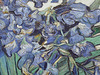 Detail of Irises by Van Gogh in the Metropolitan Museum of Art, May 2011