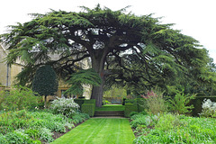 Leading you down the garden path Leading you down the garden path