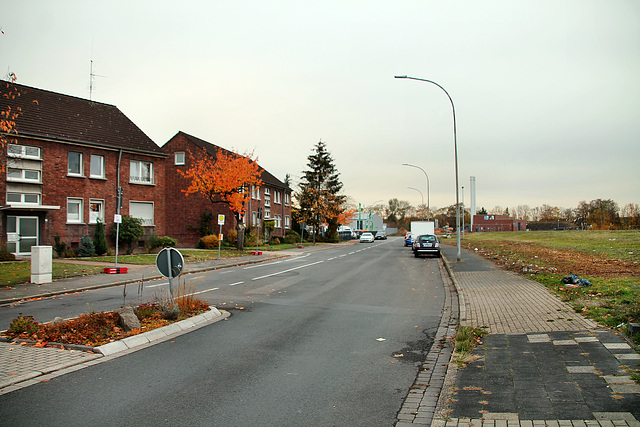 Inneboltstraße (Neukirchen-Vluyn) / 9.11.2018