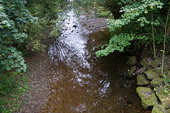 Die Sieber führt kaum noch Wasser II