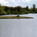 Small island in the Canal Pool, Kingsbury Water Park