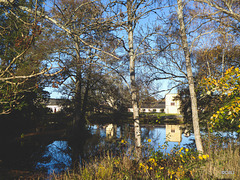 The Lake on the Altyre Estate